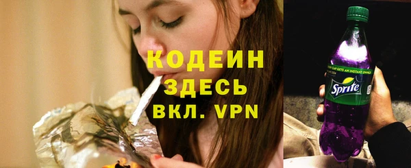 сатива Козловка