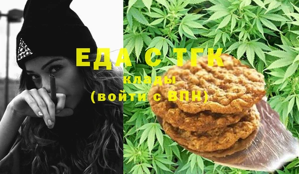 шишки Кодинск