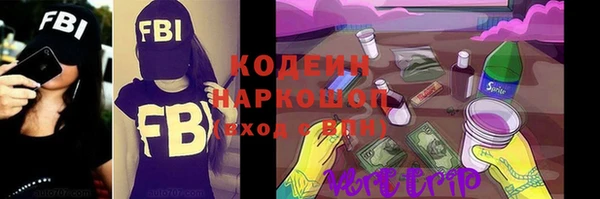 шишки Кодинск