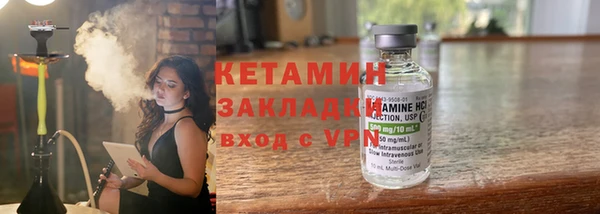 шишки Кодинск