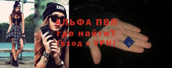 шишки Кодинск