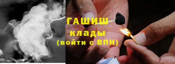 шишки Кодинск