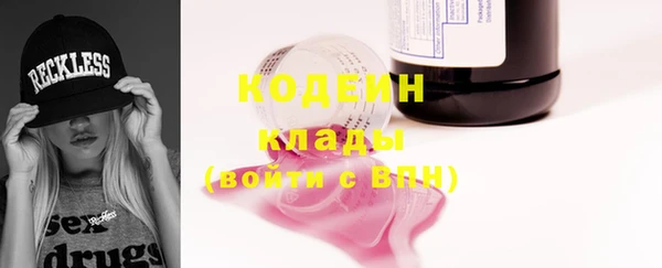 сатива Козловка