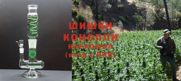 шишки Кодинск
