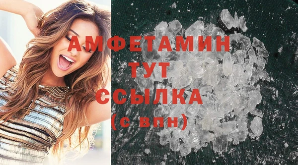сатива Козловка