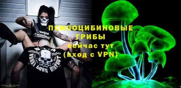прущий лед Козельск