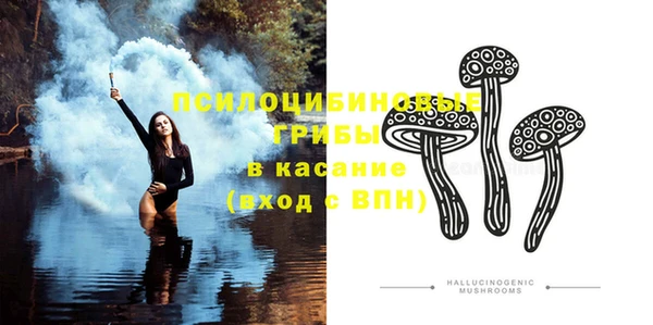 прущий лед Козельск