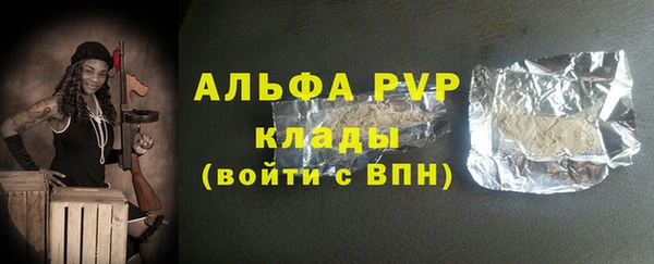 сатива Козловка
