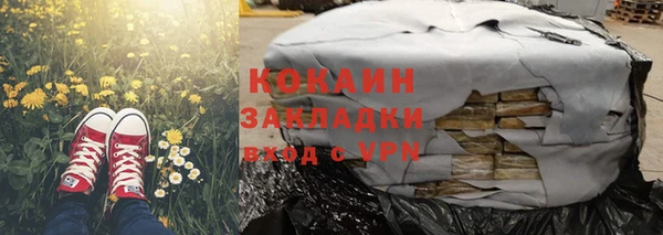 сатива Козловка