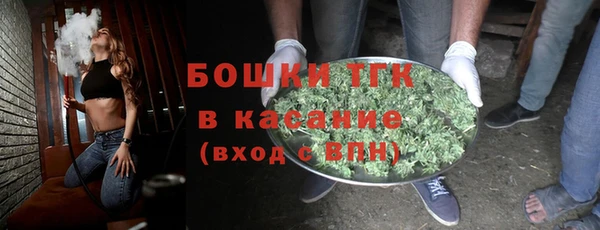 сатива Козловка