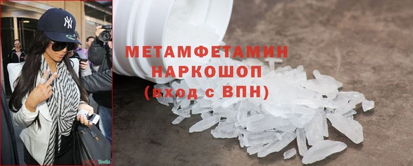 шишки Кодинск