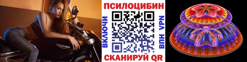 Купить где  Грязовец  Галлюциногенные грибы GOLDEN TEACHER 